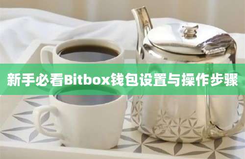 新手必看Bitbox钱包设置与操作步骤