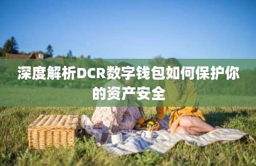 深度解析DCR数字钱包如何保护你的资产安全