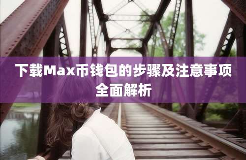 下载Max币钱包的步骤及注意事项全面解析