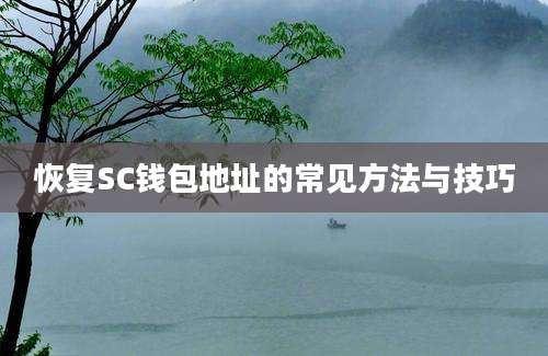 恢复SC钱包地址的常见方法与技巧