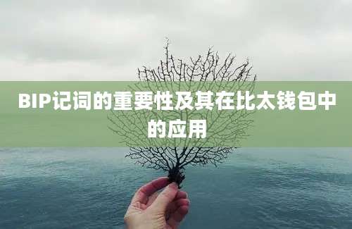 BIP记词的重要性及其在比太钱包中的应用