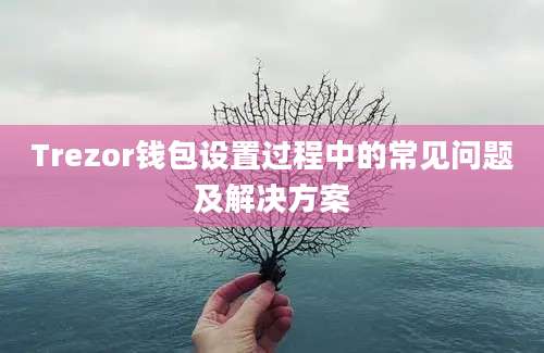 Trezor钱包设置过程中的常见问题及解决方案