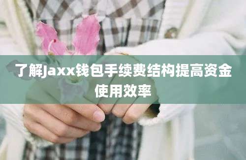 了解Jaxx钱包手续费结构提高资金使用效率