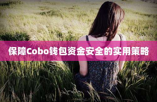 保障Cobo钱包资金安全的实用策略