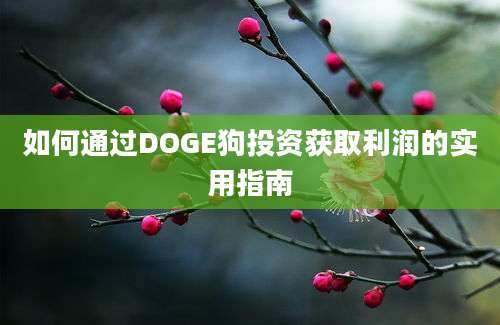 如何通过DOGE狗投资获取利润的实用指南