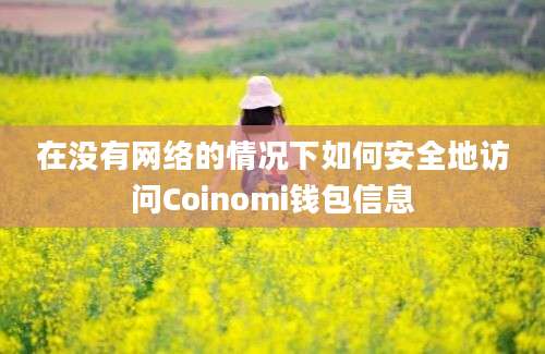 在没有网络的情况下如何安全地访问Coinomi钱包信息