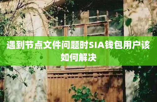 遇到节点文件问题时SIA钱包用户该如何解决