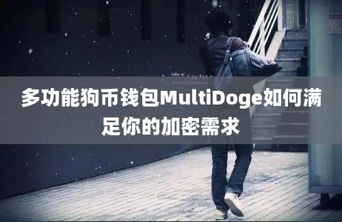 多功能狗币钱包MultiDoge如何满足你的加密需求