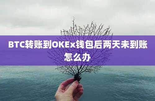 BTC转账到OKEx钱包后两天未到账怎么办