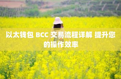 以太钱包 BCC 交易流程详解 提升您的操作效率