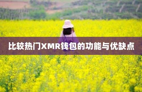 比较热门XMR钱包的功能与优缺点