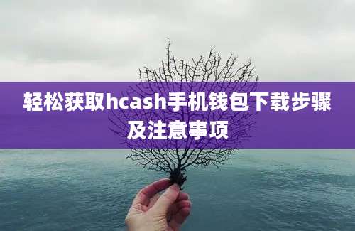 轻松获取hcash手机钱包下载步骤及注意事项