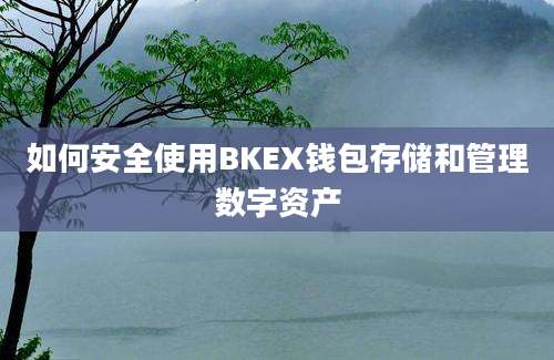 如何安全使用BKEX钱包存储和管理数字资产