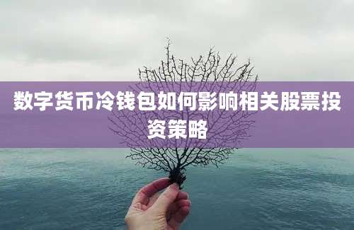 数字货币冷钱包如何影响相关股票投资策略