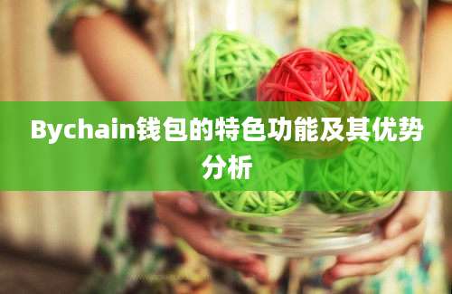 Bychain钱包的特色功能及其优势分析