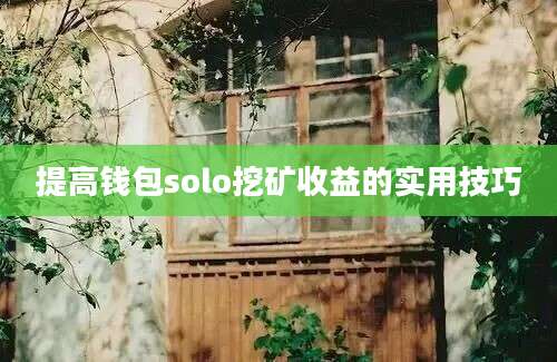 提高钱包solo挖矿收益的实用技巧