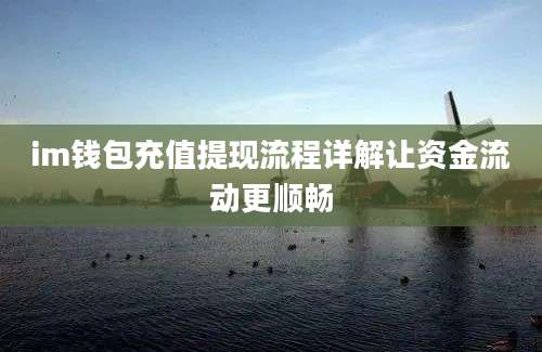 im钱包充值提现流程详解让资金流动更顺畅