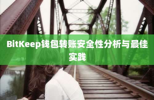 BitKeep钱包转账安全性分析与最佳实践