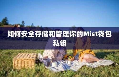 如何安全存储和管理你的Mist钱包私钥