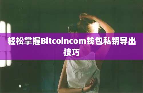 轻松掌握Bitcoincom钱包私钥导出技巧