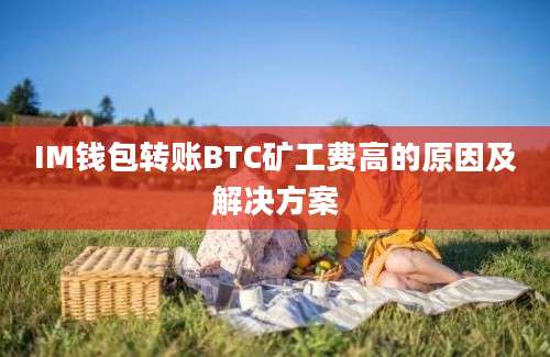 IM钱包转账BTC矿工费高的原因及解决方案