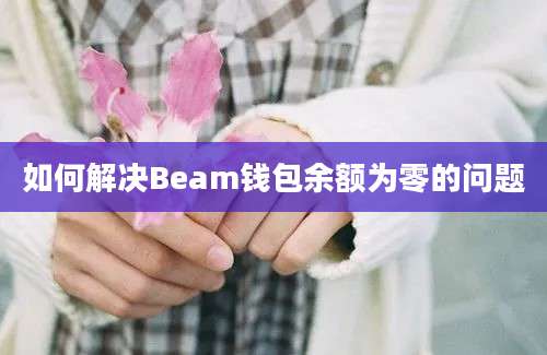 如何解决Beam钱包余额为零的问题