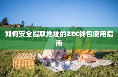 如何安全提取地址的ZEC钱包使用指南