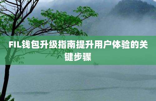 FIL钱包升级指南提升用户体验的关键步骤