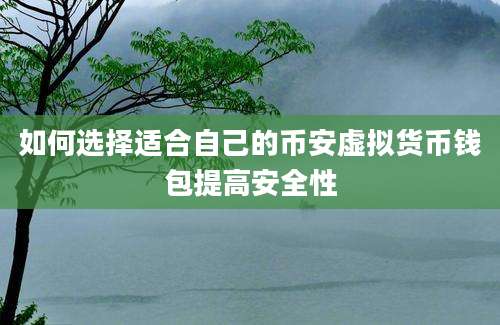 如何选择适合自己的币安虚拟货币钱包提高安全性