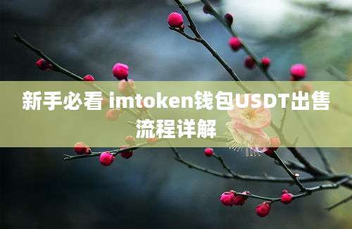 新手必看 imtoken钱包USDT出售流程详解