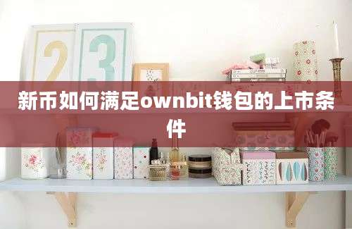 新币如何满足ownbit钱包的上市条件