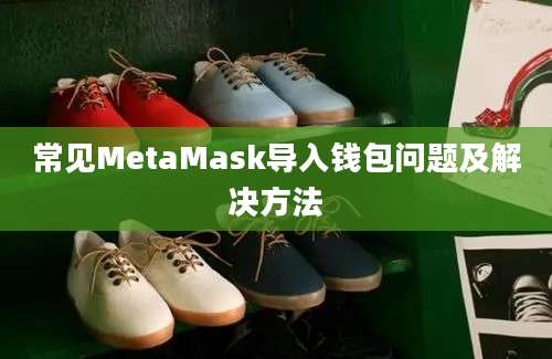 常见MetaMask导入钱包问题及解决方法