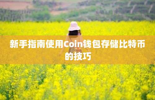 新手指南使用Coin钱包存储比特币的技巧