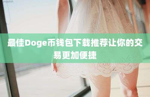 最佳Doge币钱包下载推荐让你的交易更加便捷