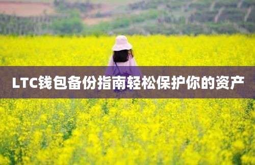 LTC钱包备份指南轻松保护你的资产