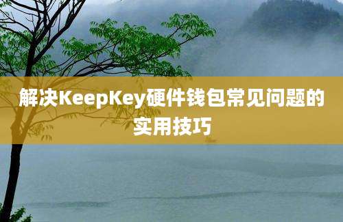 解决KeepKey硬件钱包常见问题的实用技巧