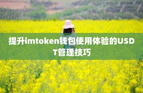 提升imtoken钱包使用体验的USDT管理技巧