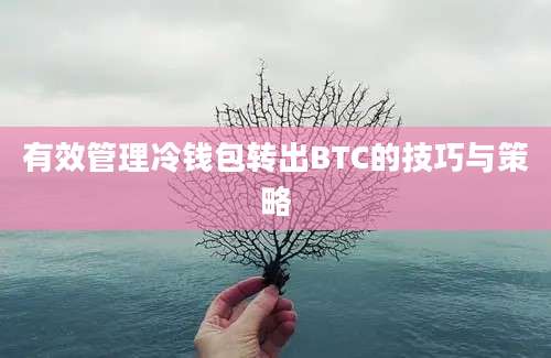 有效管理冷钱包转出BTC的技巧与策略