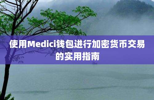 使用Medici钱包进行加密货币交易的实用指南