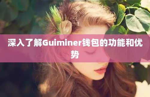 深入了解Guiminer钱包的功能和优势