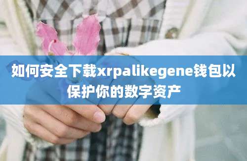 如何安全下载xrpalikegene钱包以保护你的数字资产