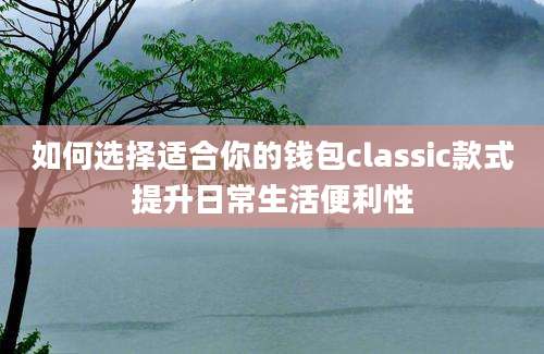 如何选择适合你的钱包classic款式提升日常生活便利性