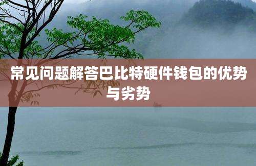 常见问题解答巴比特硬件钱包的优势与劣势