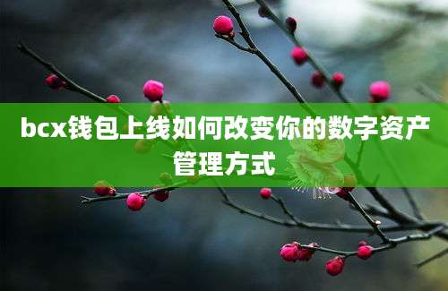 bcx钱包上线如何改变你的数字资产管理方式