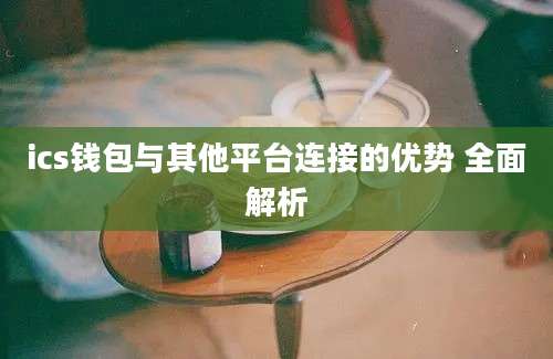 ics钱包与其他平台连接的优势 全面解析