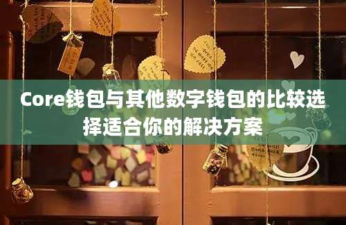 Core钱包与其他数字钱包的比较选择适合你的解决方案