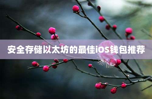 安全存储以太坊的最佳iOS钱包推荐