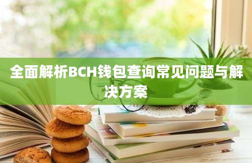 全面解析BCH钱包查询常见问题与解决方案