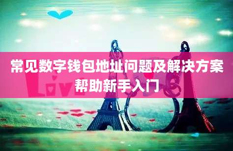 常见数字钱包地址问题及解决方案帮助新手入门
