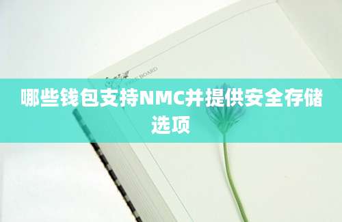 哪些钱包支持NMC并提供安全存储选项